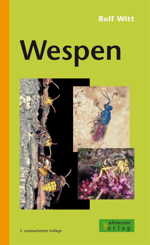 Wespen - Fachliteratur von Rolf Witt (2. überarbeitete Auflage!)